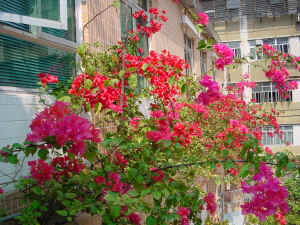 DSC00007.JPG (617562 �r?)