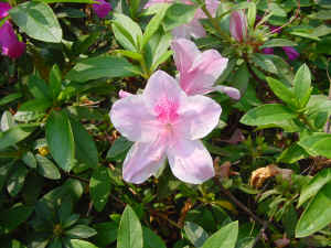 DSC00008.JPG (610629 �r?)