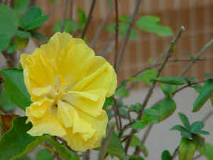 DSC00021.JPG (534369 �r?)