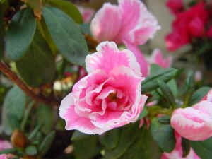 DSC00026.JPG (535975 �r?)