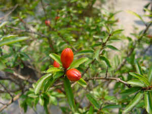 DSC00028.JPG (574334 �r?)