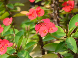 DSC00032.JPG (543866 �r?)