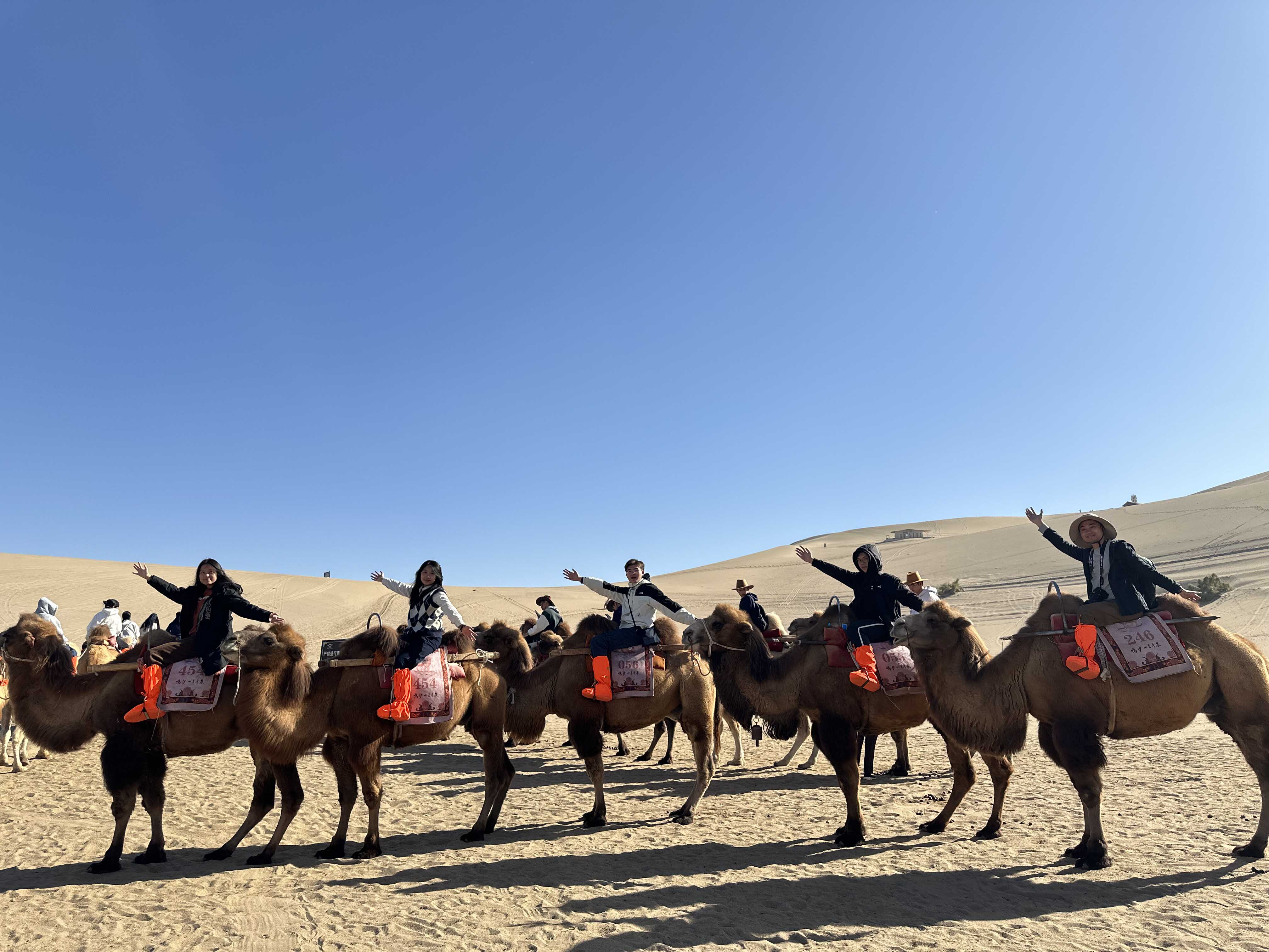 �����d�m�M��